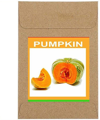 CYBEXIS Guarenteed Germination Green Pumpkin Seeds-50 Seeds Seed(50 per packet)