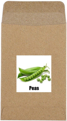 CYBEXIS Hybrid Sweet Peas Seeds800 Seeds Seed(800 per packet)