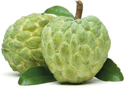 Paudha Custard Apple Hybrid Seed(35 per packet)