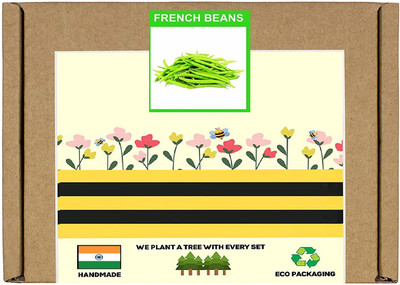 CYBEXIS F1 Hybrid French Beans Seeds-100 Seeds Seed(100 per packet)