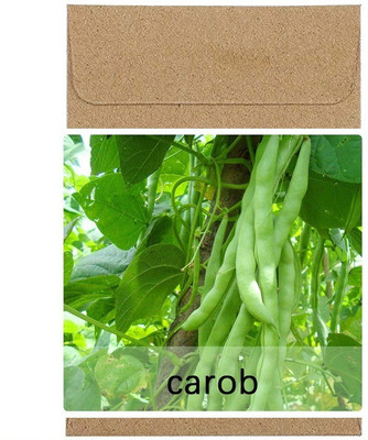 CYBEXIS Guarenteed Germination French Beans Seeds400 Seeds Seed(400 per packet)