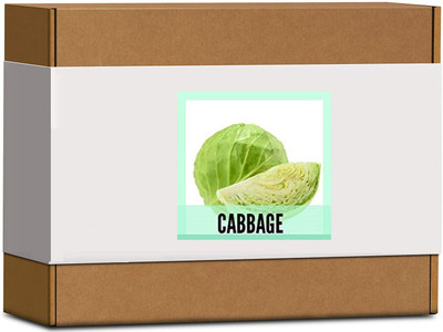 CYBEXIS High Germination Cabbage Seeds2000 Seeds Seed(2000 per packet)