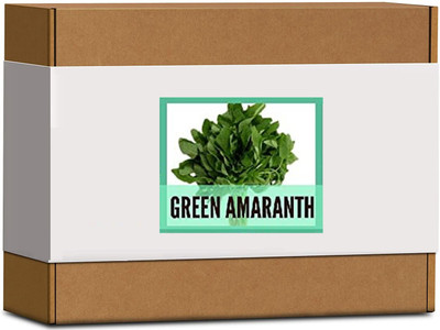 CYBEXIS High Germination Green Amaranth Seeds4000 Seeds Seed(4000 per packet)