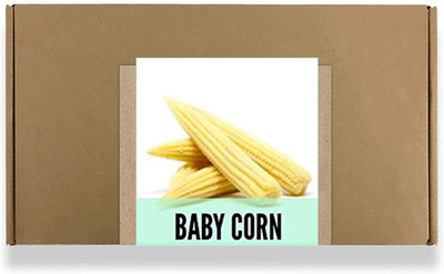 CYBEXIS Fast Germination Baby Corn Seeds2000 Seeds Seed(2000 per packet)