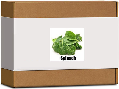 CYBEXIS High Germination Malabar Spinach Seeds1000 Seeds Seed(1000 per packet)
