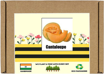 CYBEXIS F1 Hybrid Cantaloupe Seeds100 Seeds Seed(100 per packet)