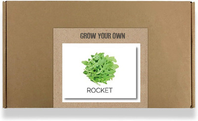 CYBEXIS Fast Germination Cultivated Rocket Seeds2800 Seeds Seed(2800 per packet)