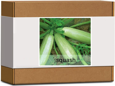 CYBEXIS High Germination Zucchini Seeds100 Seeds Seed(100 per packet)