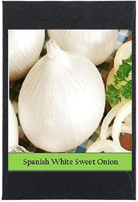 CYBEXIS Heirloom White Sweet Onion Seeds1000 Seeds Seed(1000 per packet)