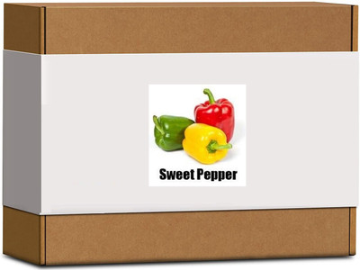 CYBEXIS High Germination Mixed Capsicum Seeds600 Seeds Seed(600 per packet)
