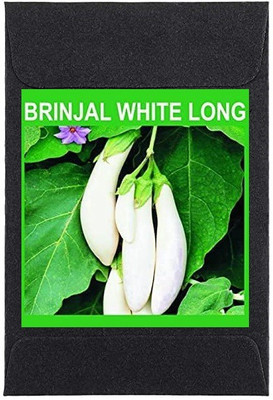 CYBEXIS Heirloom Brinjal White Long Seeds600 Seeds Seed(600 per packet)