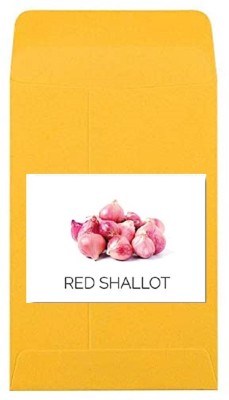 CYBEXIS Heirloom Red Shallot Onion Seeds4000 Seeds Seed(4000 per packet)