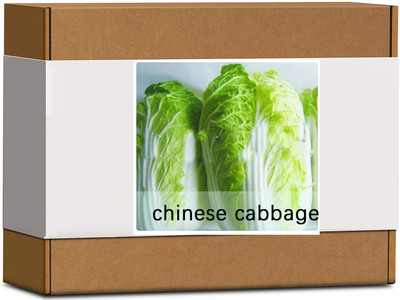 CYBEXIS High Germination Chinese Cabbage Seeds500 Seeds Seed(500 per packet)