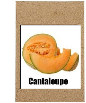 CYBEXIS Guarenteed Germination Cantaloupe Seeds400 Seeds Seed(400 per packet)