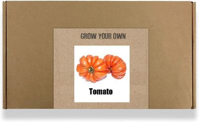 CYBEXIS Fast Germination Tomato Seeds-250 Seeds Seed(250 per packet)