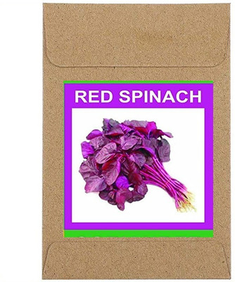 CYBEXIS Guarenteed Germination Red Spinach Seeds1000 Seeds Seed(1000 per packet)