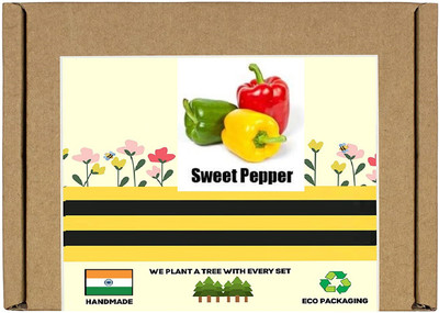 CYBEXIS F1 Hybrid Mixed Capsicum Seeds1200 Seeds Seed(1200 per packet)