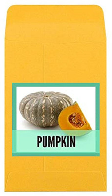 CYBEXIS Guarenteed Germination Pumpkin Seeds400 Seeds Seed(400 per packet)