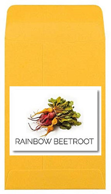 CYBEXIS Heirloom Multicolored Rainbow Beetroot Seeds500 Seeds Seed(500 per packet)