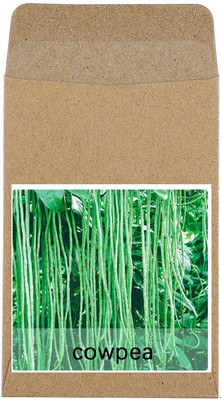 CYBEXIS Hybrid Cowpea Beans Seeds800 Seeds Seed(800 per packet)