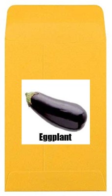 CYBEXIS Heirloom Long Black Brinjal Seeds1200 Seeds Seed(1200 per packet)