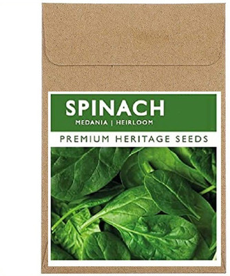 CYBEXIS Fast Germination Malabar Spinach Seeds Seeds4000 Seeds Seed(4000 per packet)