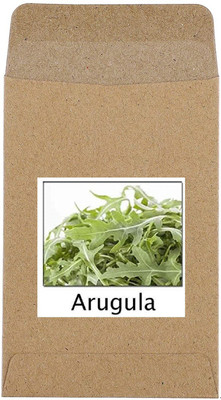 CYBEXIS Hybrid Arugula Seeds700 Seeds Seed(700 per packet)