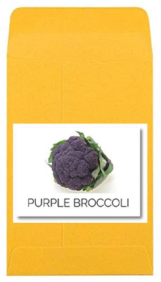 CYBEXIS Heirloom Purple Broccoli Seeds500 Seeds Seed(500 per packet)