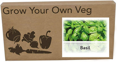 CYBEXIS Heirloom Basil Sweet Genovese Seeds2000 Seeds Seed(2000 per packet)