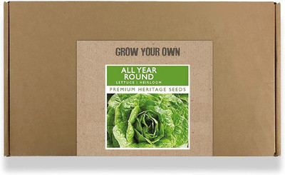 CYBEXIS Fast Germination All Year Round Lettuce Seeds2000 Seeds Seed(2000 per packet)