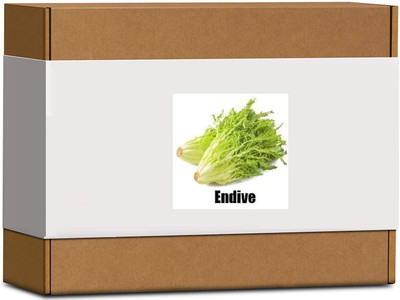 CYBEXIS High Germination Endive Seeds1000 Seeds Seed(1000 per packet)