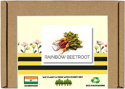 CYBEXIS F1 Hybrid Multicolored Rainbow Beetroot Seeds500 Seeds Seed(500 per packet)