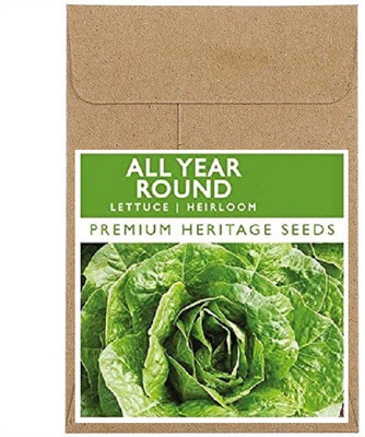 CYBEXIS Fast Germination All Year Round Lettuce Seeds4000 Seeds Seed(4000 per packet)