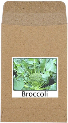 CYBEXIS Hybrid Broccoli Seeds500 Seeds Seed(500 per packet)