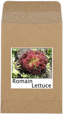 CYBEXIS Hybrid Romain Lettuce Seeds1000 Seeds Seed(1000 per packet)