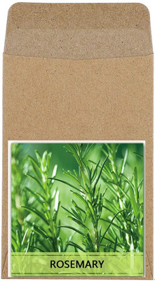 CYBEXIS Hybrid Rosemary Seeds200 Seeds Seed(200 per packet)