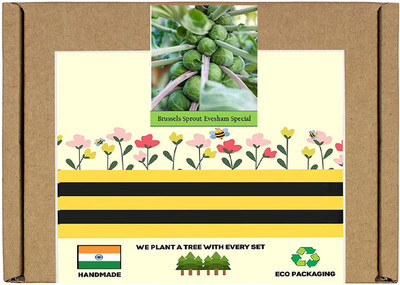 CYBEXIS F1 Hybrid Brussels Sprouts Seeds Seeds2000 Seeds Seed(2000 per packet)