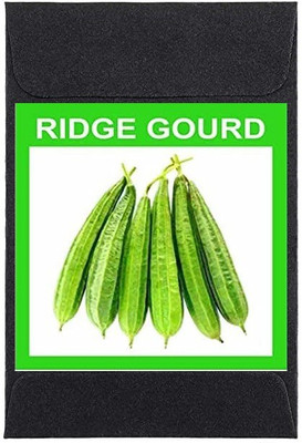 CYBEXIS Heirloom Ridge Gourd Seeds800 Seeds Seed(800 per packet)