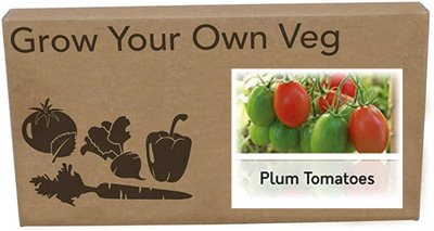 CYBEXIS Heirloom Tomato Plum Roma Seeds2000 Seeds Seed(2000 per packet)