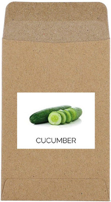 CYBEXIS Guarenteed Germination Cucumber Seeds2000 Seeds Seed(2000 per packet)