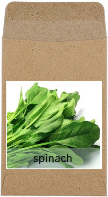 CYBEXIS Hybrid Green Spinach Seeds2000 Seeds Seed(2000 per packet)