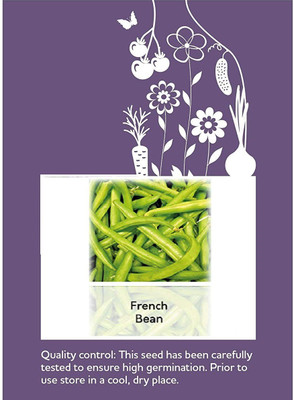 CYBEXIS F1 Hybrid Beans Dwarf French Seeds800 Seeds Seed(800 per packet)