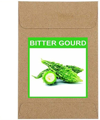 CYBEXIS Guarenteed Germination Bitter Gourd Seeds400 Seeds Seed(400 per packet)