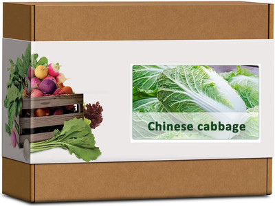 CYBEXIS High Germination Chinese Cabbage Seeds2000 Seeds Seed(2000 per packet)