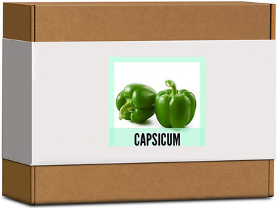 CYBEXIS High Germination Green Capsicum Seeds600 Seeds Seed(600 per packet)