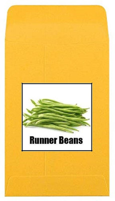 CYBEXIS Heirloom Runner Beans Seeds800 Seeds Seed(800 per packet)