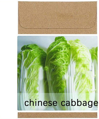 CYBEXIS Guarenteed Germination Chinese cabbage Seeds2000 Seeds Seed(2000 per packet)
