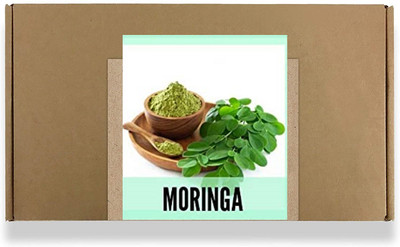 CYBEXIS Fast Germination Moringa,Drumsticks Seeds400 Seeds Seed(400 per packet)