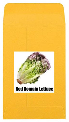 CYBEXIS Heirloom Lettuce Red Romain Seeds1000 Seeds Seed(1000 per packet)