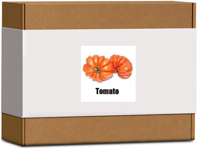 CYBEXIS High Germination Tomato Seeds2000 Seeds Seed(2000 per packet)